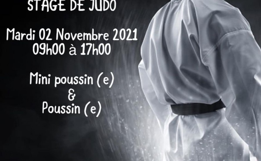 Stage de Judo Mini-poussins et Poussins